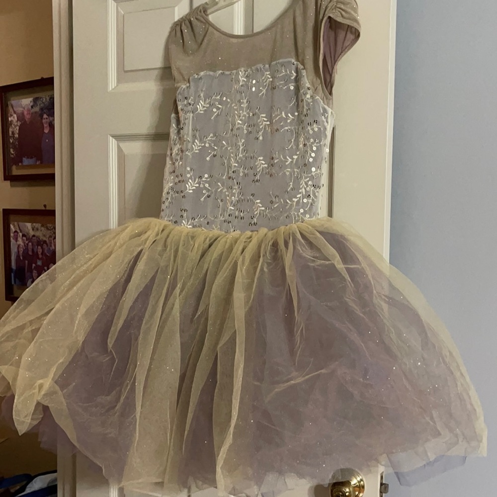 Adult large dance costume